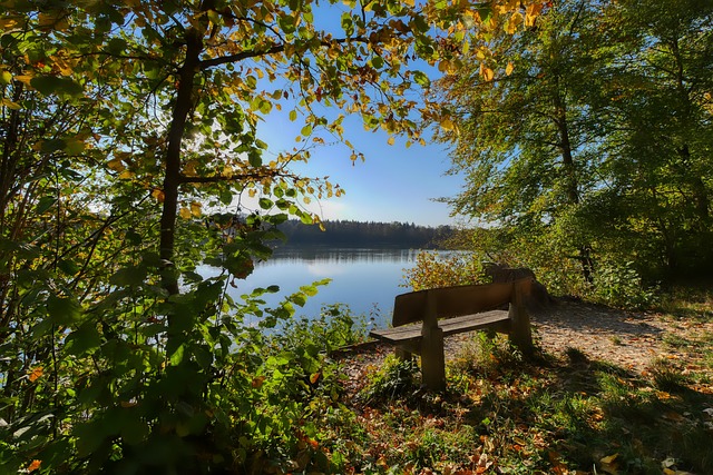 国足连续两场先掉链子 伊万最后的倔强还能坚持多久？.